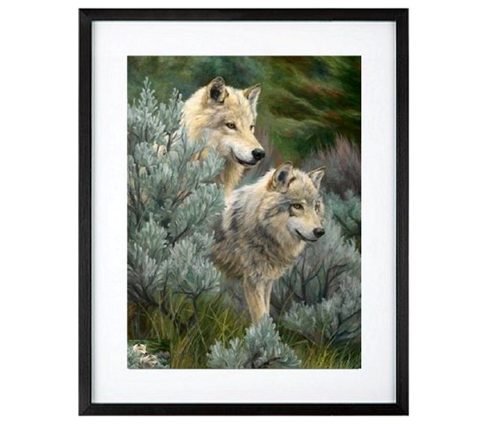 North American Wolves In Spring